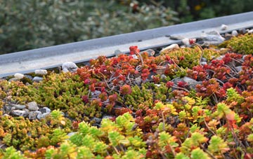 the cost of Littlewindsor green roof installation