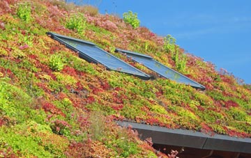 Littlewindsor living roof systems